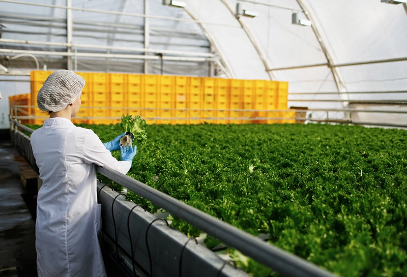 Agritech & Food Processing